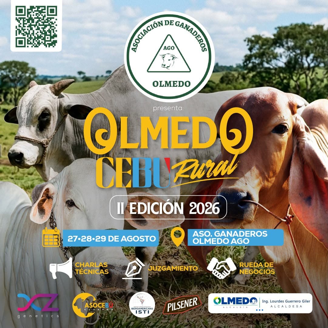 Estamos en mantenimiento